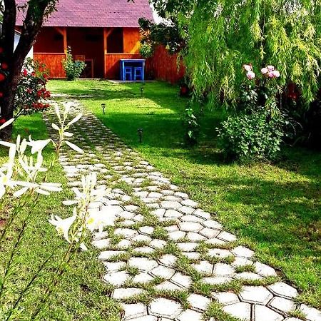Vila Casa Pavel Jurilovca Exteriér fotografie