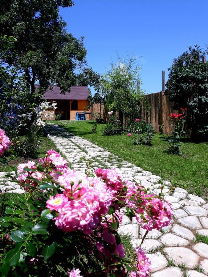 Vila Casa Pavel Jurilovca Exteriér fotografie