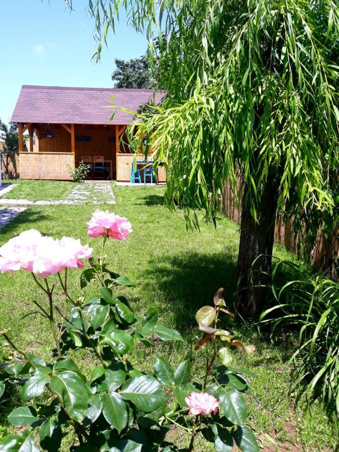 Vila Casa Pavel Jurilovca Exteriér fotografie