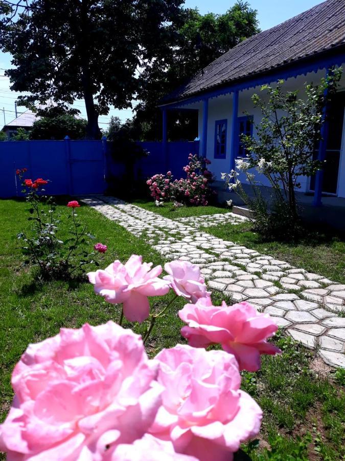 Vila Casa Pavel Jurilovca Exteriér fotografie