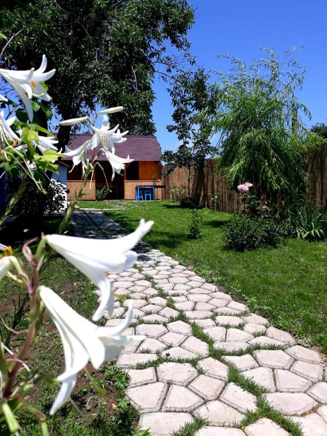 Vila Casa Pavel Jurilovca Exteriér fotografie